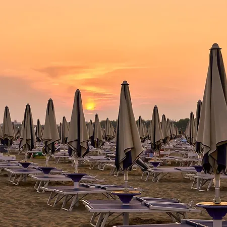 Luminous On The Shores Of